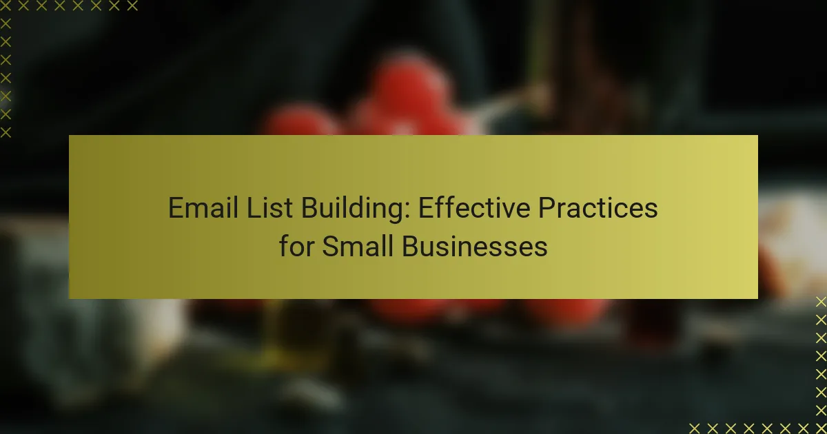 Costruzione di liste email: pratiche efficaci per le piccole imprese