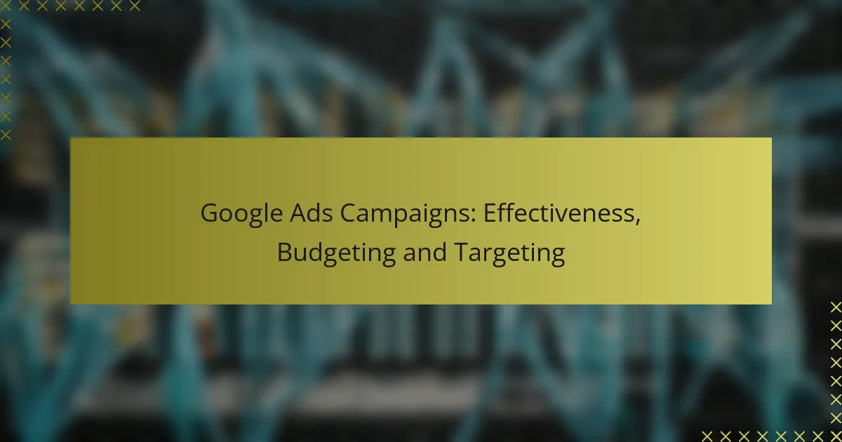Campagne Google Ads: Efficacia, Budgeting e Targeting